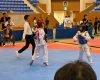 IMG_2600