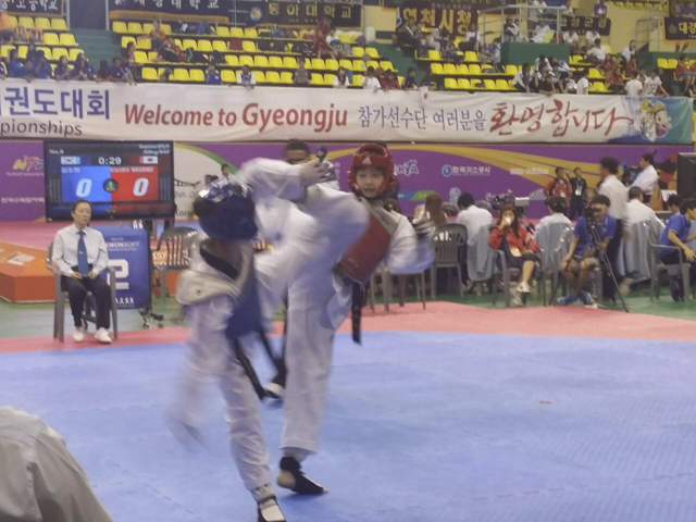 2014韓国オープン国際テコンドー選手権大会