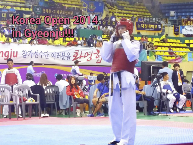 2014韓国オープン国際テコンドー選手権大会